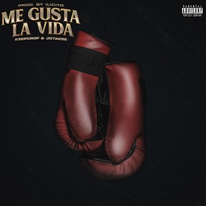 Me Gusta la Vida (Explicit)