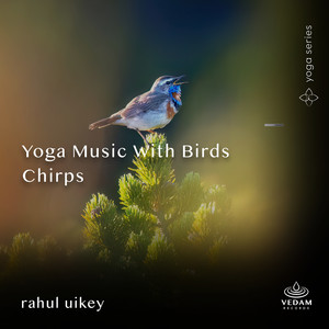 Yoga Music with Birds Chirps