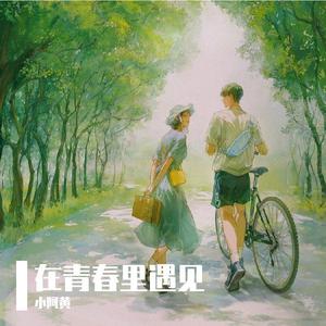 在青春里遇见
