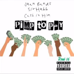 Pimp To Pay (Explicit)