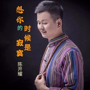 陈开耀 - 想你的时候是寂寞