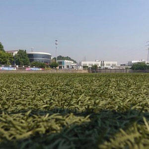 幻想即兴曲 第一段尝试