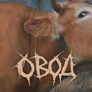 Предрешено