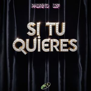 Si Tu Quieres