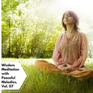 Wisdom Meditation With Peaceful Melodies, Vol. 07