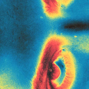 nimamakesbeats - call me