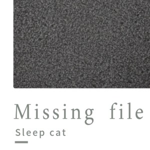 Missing file