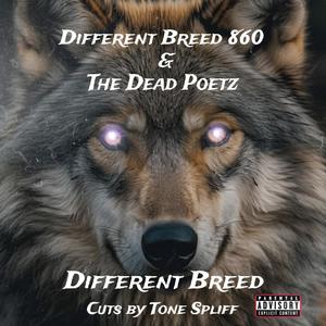 DIFFERENT BREED (feat. Tone Spliff) (Explicit)