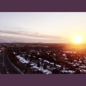 Can't help falling in love