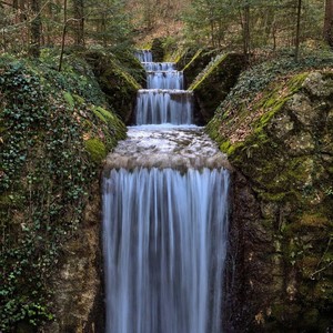 Birds singing at the waterfall