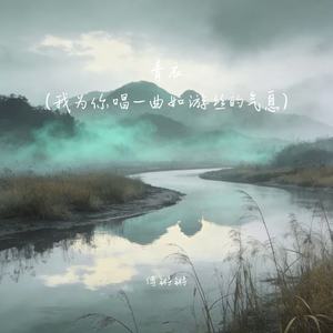 青衣 (我为你唱一曲如游丝的气息) - 傅锵锵封面