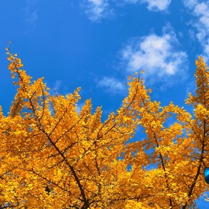 共同富裕的阳光