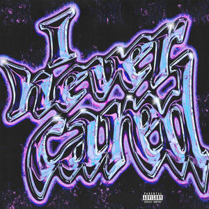 I Never Cared (Explicit)