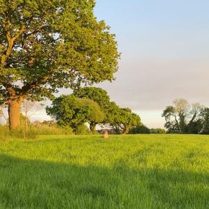 never felt this (Explicit)