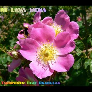 Ni Lava Wena (feat. Dracular) [Explicit]