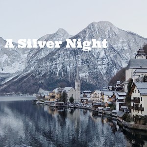 A Silver Night