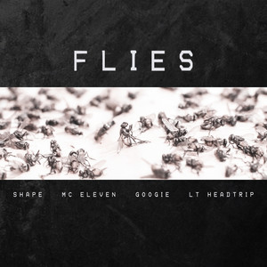 Flies (Explicit)