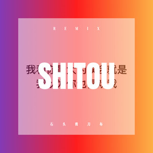 别等我放了手你才说爱我 (DJ版)