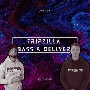 30 Minutes Of Dubz & Hosting (feat. Bass & Deliver|DNB VOCAL MIX)