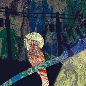 This or That (feat. TrigNO & North Prep) (Explicit)