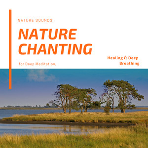 Shaping The Reality (Original Mix)