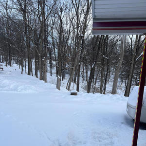 Sylvester Stallone (feat. G-Money) (Explicit)