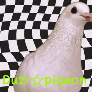 Duzi☆pigeon