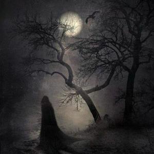 Avisa A playboizada, Nos Vai descer roubando (Explicit)