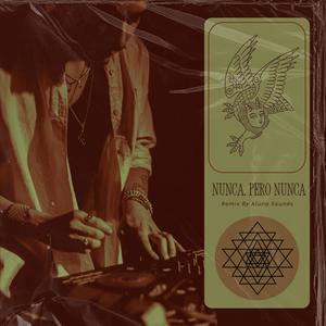 Aluna Sounds - Nunca, pero nunca