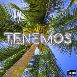 Tenemos (feat. Joseph Jay) [Explicit]