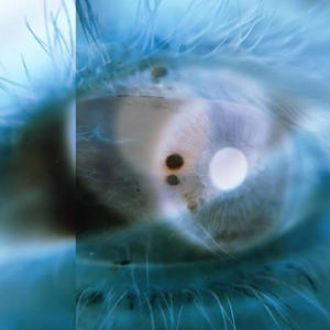 far away (feat. Nosgov)