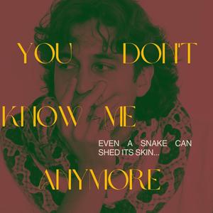 YOU DON'T KNOW ME ANYMORE (Explicit)