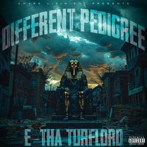 DIFFERENT PEDIGREE (Explicit)