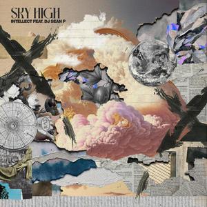 Sky High (feat. DJ Sean P)