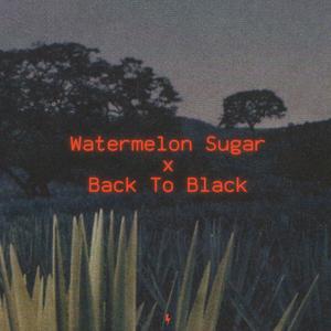 Watermelon Sugar x Back To Black (Medley|Explicit)