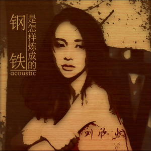 钢铁是怎样炼成的 (Acoustic)