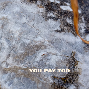 YOU PAY TOO