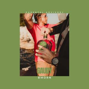 Gaudy (Explicit)