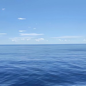 海阔天空 (DJ版)