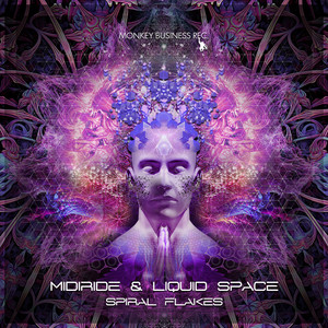 Spiral Flakes (Original Mix)