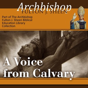 A Voice from Calvary: Life-Changing Lessons from the Last Words of Jesus