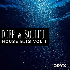 Deep & Soulful House Bits Vol 1