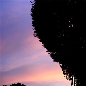 Saphrone Meditation