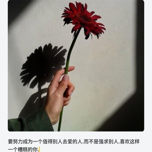 单曲循环