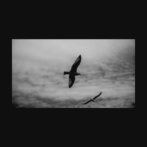 날개 (Feat. 유성은, Ryno) (Wings) (翅膀)