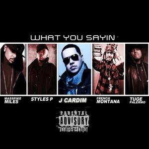 What you sayin' (feat. Tuge Palermo, Masspike Miles, Styles P & French Montana) [Explicit]