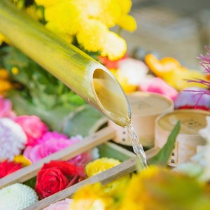 森林のささやき Shinrin no Sasayaki