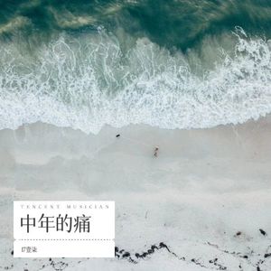中年的痛 (伴奏)