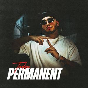 Permanent (feat. Rosley)