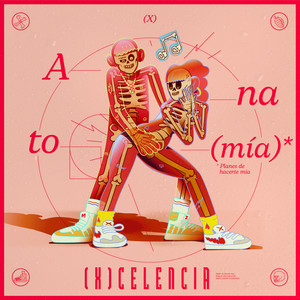 Anatomía